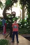 carousel chooser