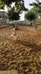 carousel chooser